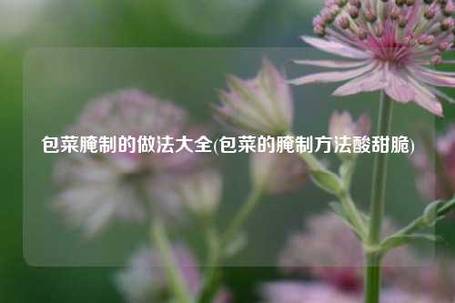 包菜腌制的做法大全(包菜的腌制方法酸甜脆)