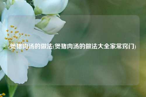 煲猪肉汤的做法(煲猪肉汤的做法大全家常窍门)