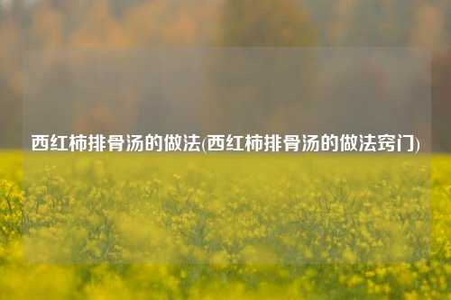 西红柿排骨汤的做法(西红柿排骨汤的做法窍门)