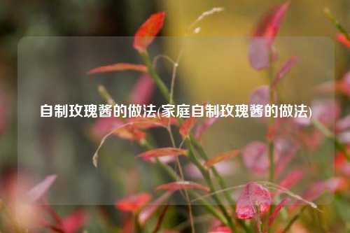 自制玫瑰酱的做法(家庭自制玫瑰酱的做法)