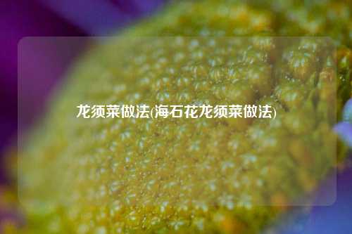 龙须菜做法(海石花龙须菜做法)