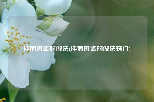 拌面肉酱的做法(拌面肉酱的做法窍门)