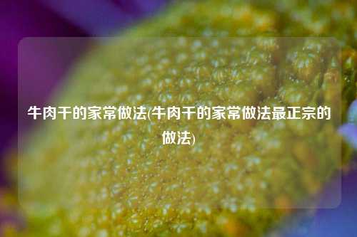 牛肉干的家常做法(牛肉干的家常做法最正宗的做法)