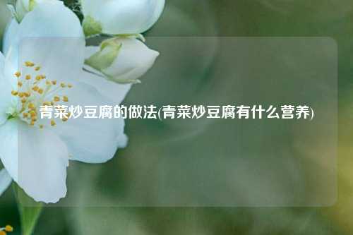 青菜炒豆腐的做法(青菜炒豆腐有什么营养)